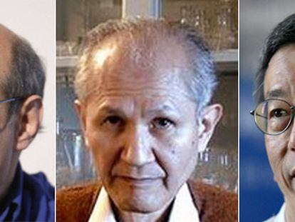 De izquierda a derecha, Martin Chalfie, Osamu Shimomura y Roger Y. Tsien.