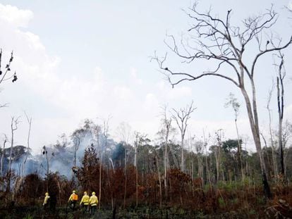 Brigadistas controlan un incendio en la Amazonia brasileña. 