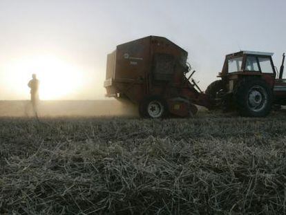 Un agricultor trabaja en una granja cerca de Gualeguaychu, Argentina, en la frontera con Uruguay.