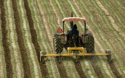 Cultivo de un campo en Salinas, California.