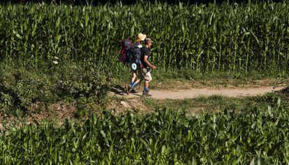 Peregrinos en el Camino de Santiago.