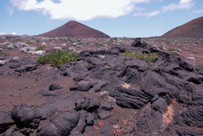 La erupción de un volcán submarino en 2011 es el último episodio de una epopeya geológica que comenzó hace 100 millones de años, cuando el fondo del océano se abrió para dar salida al magma que formó la isla de El Hierro, la más pequeña y agreste de Canarias. Por sus 278 kilómetros cuadrados se reparten más de 500 conos volcánicos y cerca de 70 tubos de lava, como la cueva de Don Justo, con más de seis kilómetros de galerías. / http://geoparqueelhierro.es