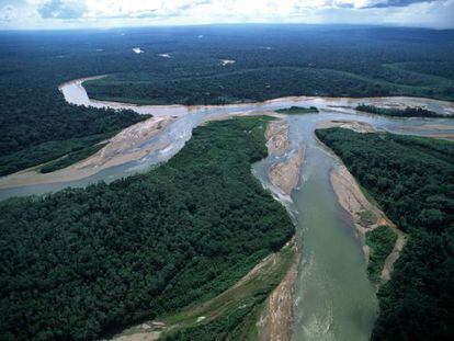 Una imagen de la selva amazónica en Perú.