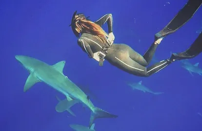 Gádor Muntaner, buceando entre tiburones.