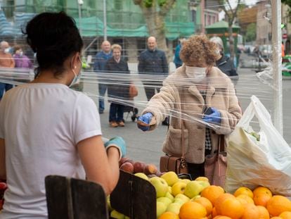 Una mujer hace la compra en mayo en Irún.