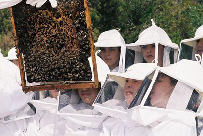 Un grupo de ni&ntilde;os con trajes de apicultor, en Mel Muria, El Perell&oacute; (Tarragona).