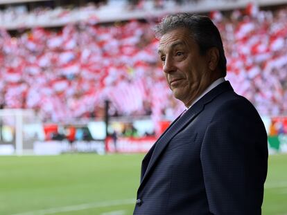 Tomás Boy durante un partido de las Chivas de Guadalajara, en 2019.