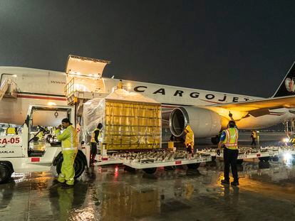 Trabajadores reciben un avión de Cargojet en la terminal de Carga y Aduanas en el Aeropuerto Internacional Felipe Ángeles.