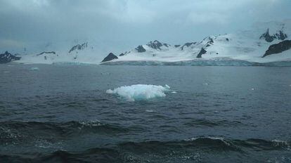Pequeño iceberg frente a las costas del sur de la isla Livingston, Antártida. 