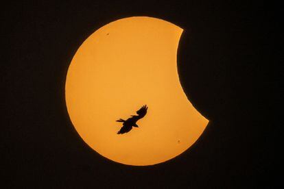 Vista del eclipse parcial solar en Bombai, India. El eclipse de muy baja magnitud también pudo observarse desde el noreste de España, aunque con porcentajes muy escasos de luz solar oculta por la Luna. Fue visible en gran parte de Europa, el noreste de África y Asia occidental.
