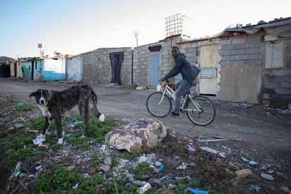 Un hombre anda en bicicleta, en el asentamiento de Atochares en Níjar, Almería, donde viven unas 700 personas.