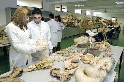 Laboratorio de la Facultad de Veterinaria de la Universidad de Murcia, en febrero de 2010.  
