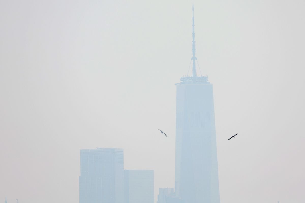 Smoke from Canadian fires darkens New York and puts the Northeastern United States on alert |  climate and environment