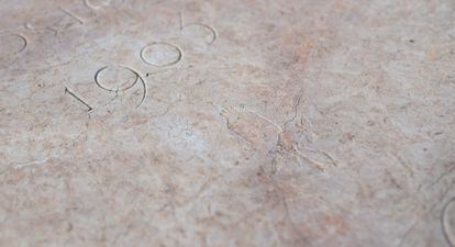 En la lápida de Mercedes Roca se observa una caracola y un dibujo similar a la planta del opio.