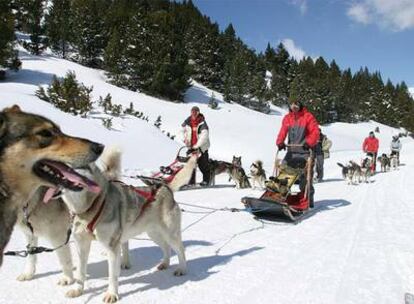 El <i>mushing,</i> rutas en trineos tirados por perros, es una de las actividades que ofrece Grandvalira (Andorra).