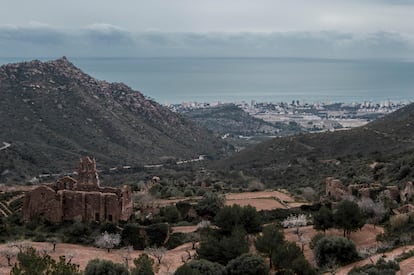 A siete kilómetros al norte de Castellón, en un cerro del parque natural del Desierto de las Palmas, se encuentran las ruinas del musulmán Castell Vell, donde habitaron los primeros castellonenses hasta 1251, cuando se trasladaron a La Plana, al llano. Hay unas magníficas vistas de la ciudad y del mar, así como un entorno de pinares y merenderos ideal para hacer un pícnic. Siguiendo por la misma carretera que lleva al Castell Vell, la CV-147, nos adentraremos en el parque natural del Desierto de las Palmas, que de desierto solo tiene la soledad, porque es una selva de alcornoques, carrascas, madroños, durillos, brezos, torviscos, aladiernos, ruscos, enebros, lentiscos y palmitos. Aquí se emboscaron los carmelitas descalzos a finales del siglo XVI y aquí siguen, en un bonito monasterio rodeado de ermitas, exuberantes verdores y montes como el pico Bartolo, máxima altura del parque (736 metros), al que se puede subir y bajar en un par de horas para otear desde la cima las islas Columbretes, a 59 kilómetros de distancia.
(desiertodelaspalmas.com / turismodecastellon.com)