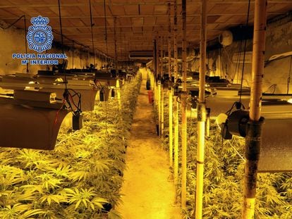 Plantación subterránea de marihuana desmantelada por la Policía Nacional en la provincia de Toledo en octubre de 2020.