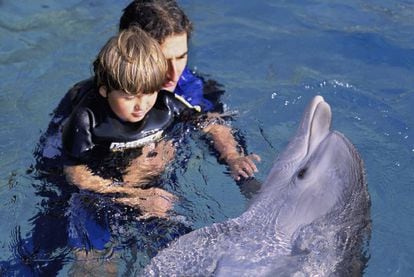 Terapia con delfines para ayudar a niños con autismo.