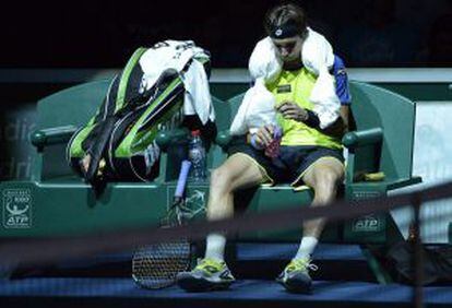 Ferrer, tras caer ante Djokovic en París