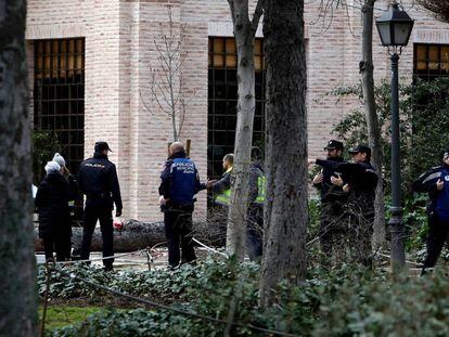 Policías y sanitarios, en la zona del accidente en el parque del Retiro.