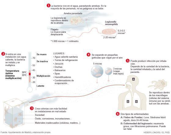 Morfología de la bacteria y formas de contagio.