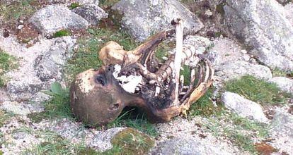 El cad&aacute;ver de La Pedriza antes de su levantamiento. 