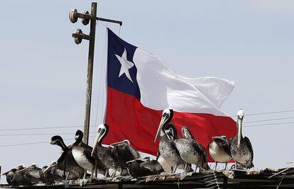 Fotografía de pelícanos frente a una bandera chilena en la localidad fronteriza de Arica (Chile). La ciudad se mantiene en calma a la espera de conocer el fallo de La Haya sobre el conflicto marítimo que mantienen Chile y Perú.
