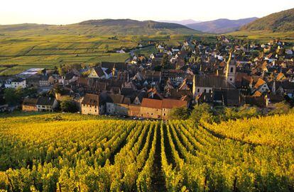 Riquewhir ocupa una fértil llanura fluvial en las estribaciones de los Vosgos. Las viñas, con las que se elabora el suave y afrutado riesling, se extienden hasta los restos de las murallas que protegían a la población.