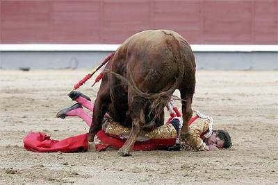 El novillero Javier Blanco recibió dos volteretas de su primer toro, ayer en Las Ventas.