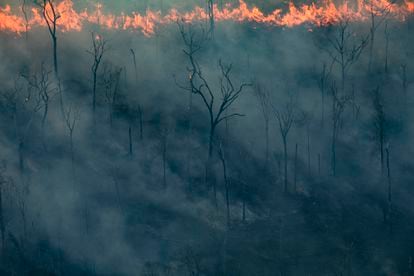 Near the city of Porto Velho, a jungle area burns, before the expansion of cattle land.