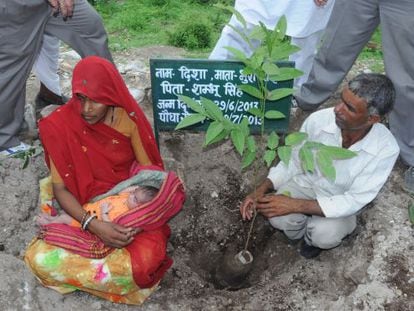 Pura y su marido Shubhum Singh plantan un árbol en honor al nacimiento de su hija Disha, en Piplantri (India), en junio de 2013.