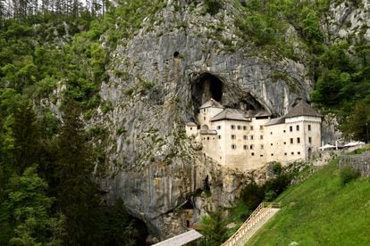 Postojna (Eslovenia). Cuando en el siglo XVII se descubrieron unos extraños tritones en la cueva de Postojna se creyó que eran crías de dragón. En realidad, son proteos, anfibios albinos endémicos de este sistema de cavernas de más de 24 kilómetros. La entrada a las cuevas está bajo el castillo de Predjama, enclavado en la roca. 