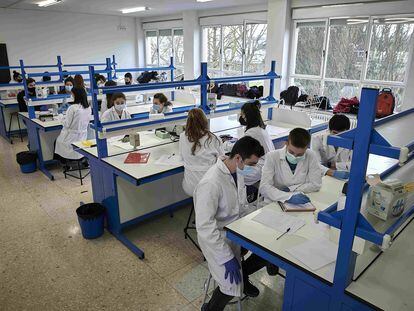 Alumnos del grado en Biotecnología de la Universidad Pública de Navarra, este lunes.