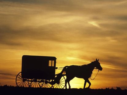Un carruaje en el condado de Lancaster (Pensilvania), zona donde vive una de las mayores comunidades amish de Estados Unidos. 