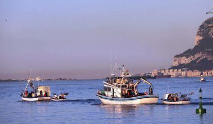 Pesqueros en el puerto de Algeciras.