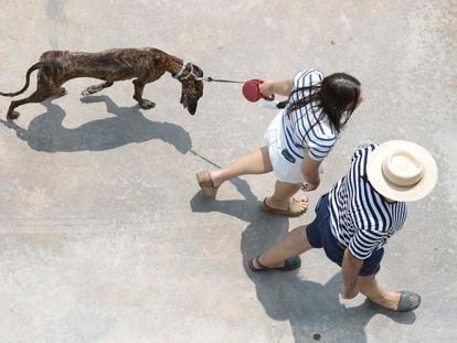 Una pareja pasea a su perro, el martes en Valencia.