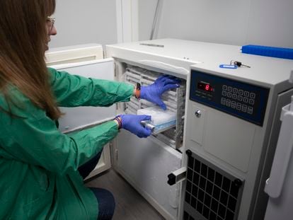 Una investigadora muestra cepas de bacterias en un laboratorio del IAS-CSIC, en Córdoba.