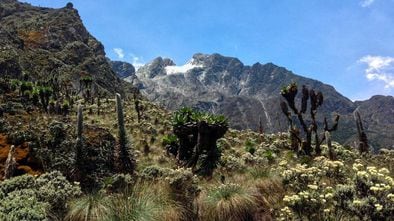 Pico Stanley, la cima de la cordillera Ruwenzori, en África