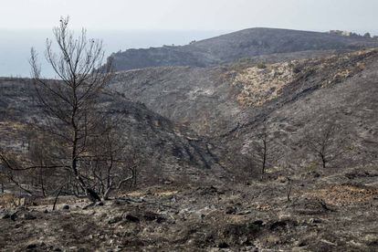 Montaña de la Granadella, entre Xàbia y Benitatxell, tras el incendio.
