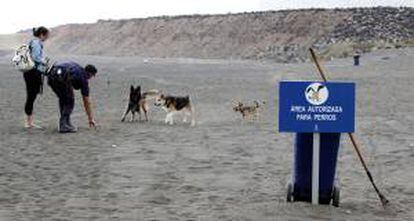 Un hombre y una mujer pasean a sus perros en un área autorizada para este tipo de animales que ha sido abierta hoy en la playa de Bocabarranco, en las Palmas de Gran Canarias.