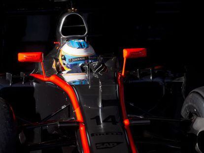 Fernando Alonso. 