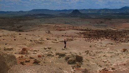 Harry Dean Stanton, en la secuencia inicial en el vasto desierto.