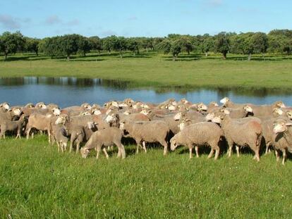 ¿Es hora de reconsiderar la agricultura?