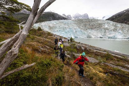 Los turistas avanzan por los densos bosques que rodean el glaciar Pía. 