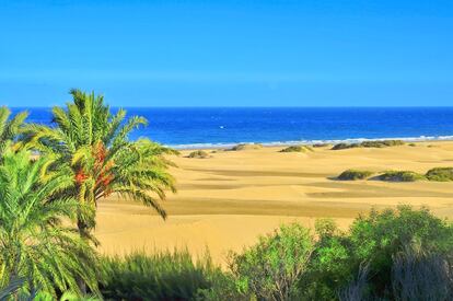 Sin necesidad de salir de España también es posible encontrar temperaturas cálidas durante los meses de inviernos. Solo hay que dirigirse a las Islas Canarias y disfrutar de las playas de Fuerteventura, los bosques de Tenerife o los parques naturales de La Palma.