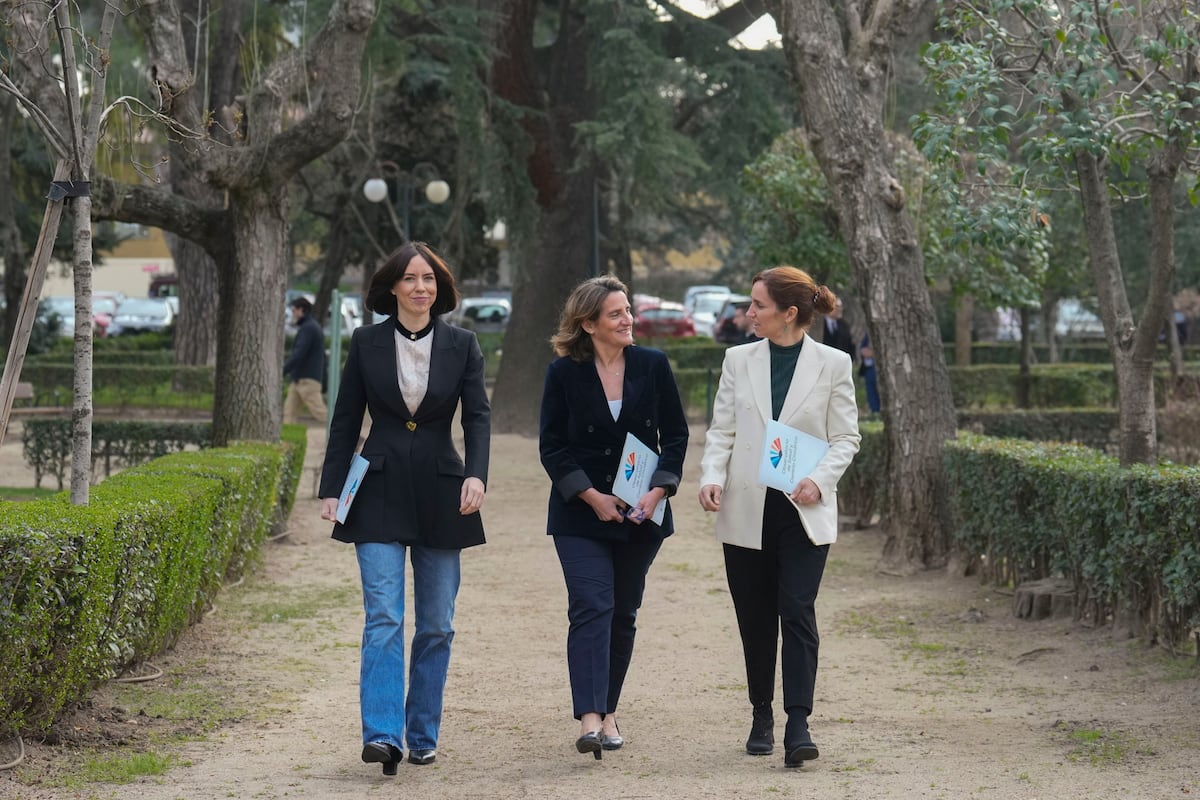 El Gobierno presenta el observatorio para afrontar las temperaturas extremas: “La crisis climática es una crisis de salud pública” |  Clima y medio ambiente