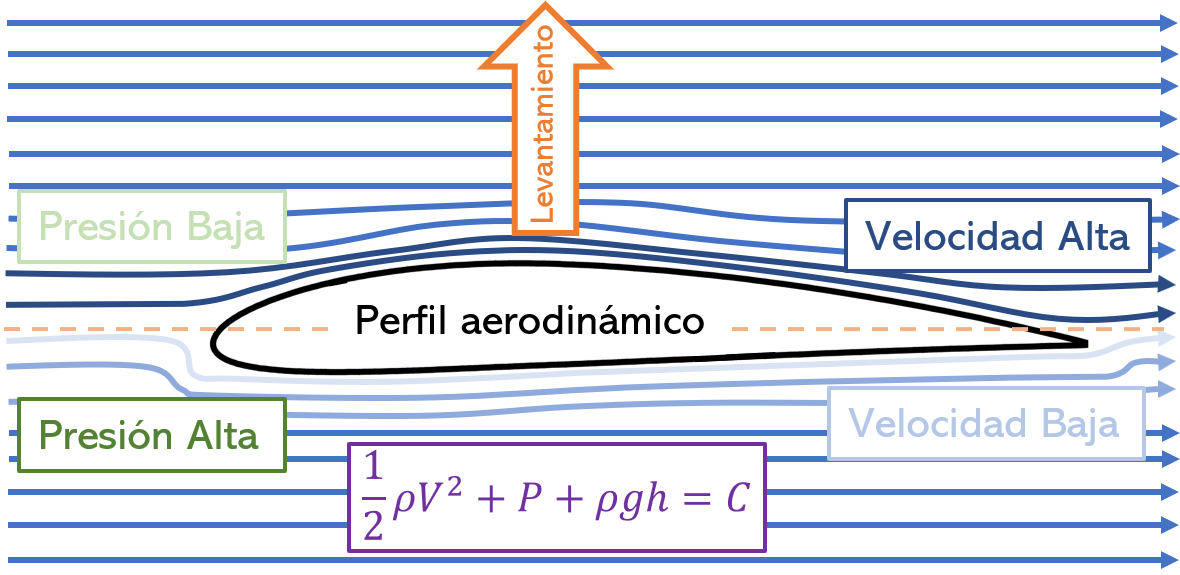 Ejemplo del principio de Bernoulli aplicado a un perfil aerodinámico asimétrico en contacto con el aire. Debido a la alta velocidad por encima del perfil, existe una presión baja en esta zona, mientras que hay baja velocidad y presión alta, debajo del mismo. Esta diferencia de presiones crea una fuerza de levantamiento.