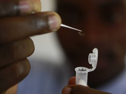 Estudio para la erradicaci&oacute;n de la malaria en Manhi&ccedil;a (Mozambique).