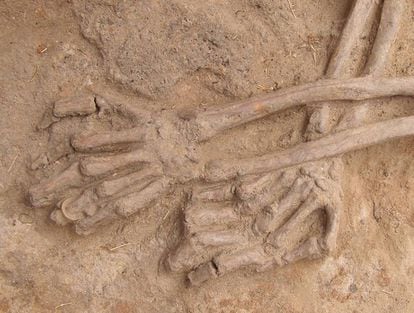 Un cadáver en la fosa de La Andaya (Burgos) con una alianza en la mano izquierda.