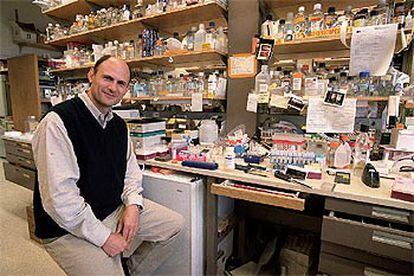 Juan Carlos Izpisúa Belmonte, en su laboratorio del Instituto Salk de California.